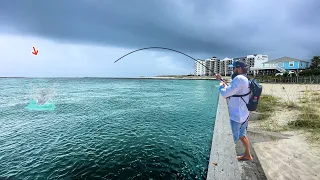 EVERYONE Comes To THIS Pier To Catch THIS! (Catch&Cook)