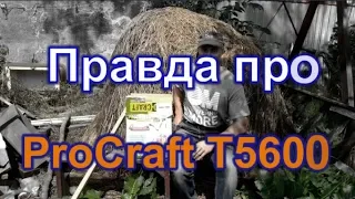 Правдивый обзор мотокосы ProCraft T5600