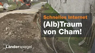 Desaster beim Glasfaserausbau - Hammer der Woche vom 30.03.2019 | ZDF