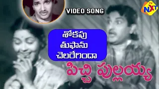 Sokapu Thuphanu Chelareginda Video Song | Pichi Pullayya Telugu Movie Songs | N T R | TVNXT Music