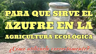 🍅 PARA QUE SIRVE EL AZUFRE EN LA AGRICULTURA ECOLÓGICA Y COMO APLICARLO EN LAS TOMATERAS 🍅