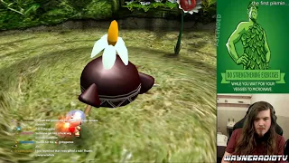 Wayneradiotv - Pikmin Stream (Part 1)