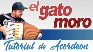 TUTORIAL: EL GATO MORO (Chamame) - Acordeon a Piano