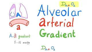 Alveolar-Arterial Gradient | (A-a) Gradient | Respiratory Physiology & Pathology..Pulmonary Medicine