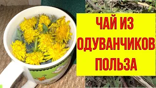 ЗАБУДЬ О ТАБЛЕТКАХ!  100 болезней прочь! Пей одуванчиковый чай и смотри что будет.