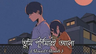 Tumi Purnimari Alo | Bangla 1 (Slowed+Reverb)