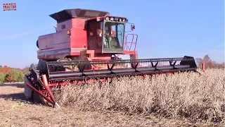 CASE INTERNATIONAL 1680 Axial-Flow Combine Harvesting Soybeans