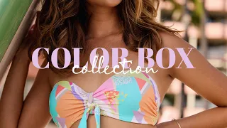 Colorbox Swimwear Collection | Body Glove