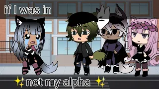 if I was in "not my alpha" | Gacha Life Skit |