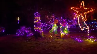 Bright Nights in Stanley Park virtual experience 2020, with Audio Description