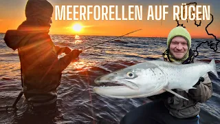 Riesen Meerforellen auf Rügen - Winterangeln extrem!