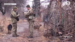 Неспокійна ситуація біля Марїнки - активізувалися російські снайпери / репортаж з фронту