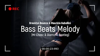 Brooklyn Bounce & Maurizio Gubellini - Bass Beats Melody (Mr.Cheez & Diamond Bootleg )