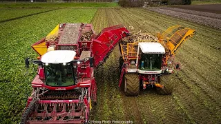 Suikerbieten rooien / Sugar beet harvest / Zuckerrüben ernten / Grimme MaXtron / Agrifac / Fendt