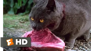 Pet Sematary (1989) - Killing Church Scene (8/10) | Movieclips