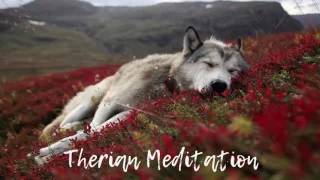 Therian Meditation Music