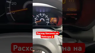 Расход бензина на Кейкаре🔥 #россия #авто #обзор #auto #москва #япония #машина #кейкар #питер #омск