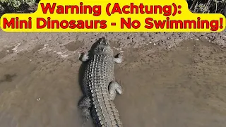 Warning (Achtung): Mini Dinosaurs in water - No Swimming!
