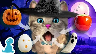 LITTLE KITTEN HALLOWEEN GAME - KITTY EATS HALLOWEEN TREATS & FOOD - KITTEN REACTIONS - CHILDRENS APP