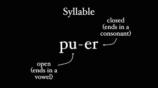 How Latin Does Syllables