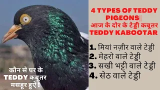 Type of Teddy Pigeons| Sakhi Bhatti Wale | Mehro wale | Mian Nazeer wale | Saith Wale Teddy kabootar