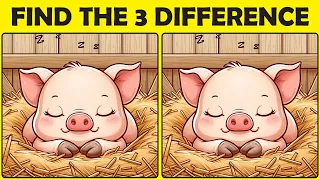 【Find & Spot the Difference | Normal】 Visual Workout: Find the Difference in These Images #168