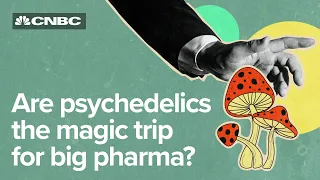 Psychedelics might change mental healthcare. Will investors follow?