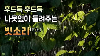 바로 잠드는 빗소리| 당신을 위로하는 수면 유도 음악| 이명 치료 효과| 5분후 어두운 화면| 10h | rain sound |  whitenoise