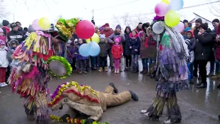 Comuna Trifesti, Iasi - intre datini si traditii -  31 dec  2019  ep. 2