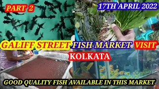 GALIFF STREET FISH MARKET VISIT 17TH APRIL 2022 #galiffstreet #talahat