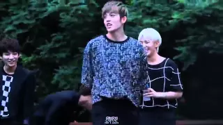 Seventeen Leader S.coups dancing EXID Up and Down