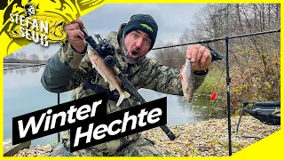HECHT im WINTER | 24 STUNDEN am NEUEN GEWÄSSER !! | Köderfisch gegen Gummifisch !!