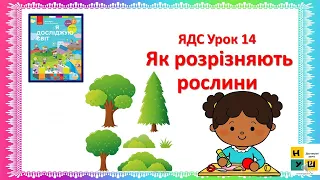 ЯДС 2 клас Урок 14  Як розрізняють рослини . автор Бібік