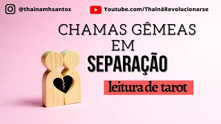 CHAMAS GÊMEAS EM SEPARAÇÃO: LEITURA/TIRAGEM DE TAROT - ENTENDA SUA SITUAÇÃO ATUAL