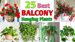 25 Best Hanging Plants for Balcony | Balcony Garden Hanging Plants | Plant and Planting