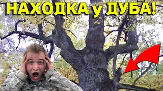 НАХОДКА ВОЗЛЕ СТАРОГО ДУБА ПОРАДОВАЛА МЕНЯ, Повезло Сегодня, не Ожидал! В Поисках Клада от Влада!