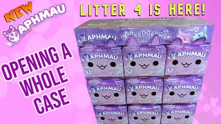 Aphmau MeeMeows Plush Litter 4 Celestial | Adult Collector Review