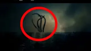 5 Real Kraken Caught On Camera