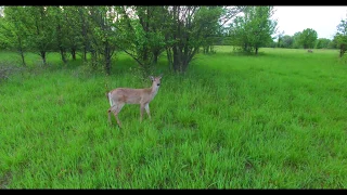 Gear VR DJI Phantom 3pro