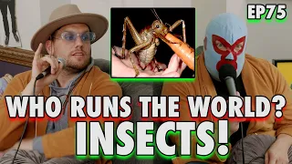Who Runs The World? INSECTS! | Sal Vulcano & Chris Distefano Present: Hey Babe! | EP 75