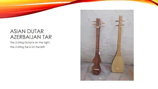 Strummed Instruments made from Agave