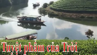 Ốc đảo chè TUYỆT PHẨM CỦA TRỜI  ban tặng Nghệ An =nhac hay anh đep du lich kham pha.=62-22645=