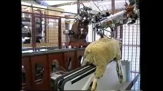 Automated Wool Harvesting