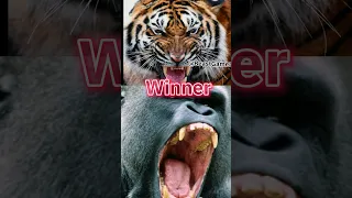 Tiger vs Gorilla#shorts #fyp#viral