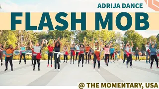 FLASH MOB at The Momentary, USA on Chaiyya Chaiyya & Rang De Basanti (Choreography by Adrija Datta)
