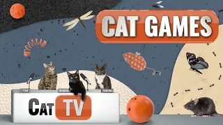 Cat Games | Ultimate Cat TV Compilation Vol 13 | 2 HOURS 🐱📺🎈🦜🐜🐭🧵🐝🐞🦋🦎