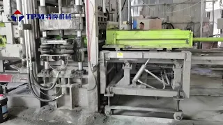 TPM10000G Interlock Making Machine (With easy face hopper device for paving stone production)