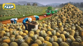 How MILLIONS of Pineapples are Harvested and Processed | Pineapple Farming and Production Line