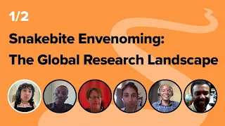 Snakebite Envenoming: The Global Research Landscape 1/2