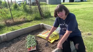 Planting Up Garden Boxes with Tomatoes & Peppers/ Lots of Planting and Growing Info/ May 18, 2024
